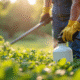 Personne en jardin utilisant des gants pour pulvériser des mauvaises herbes